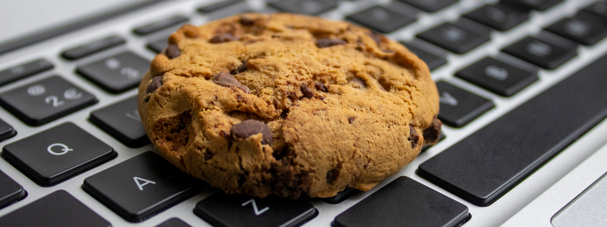 website cookies